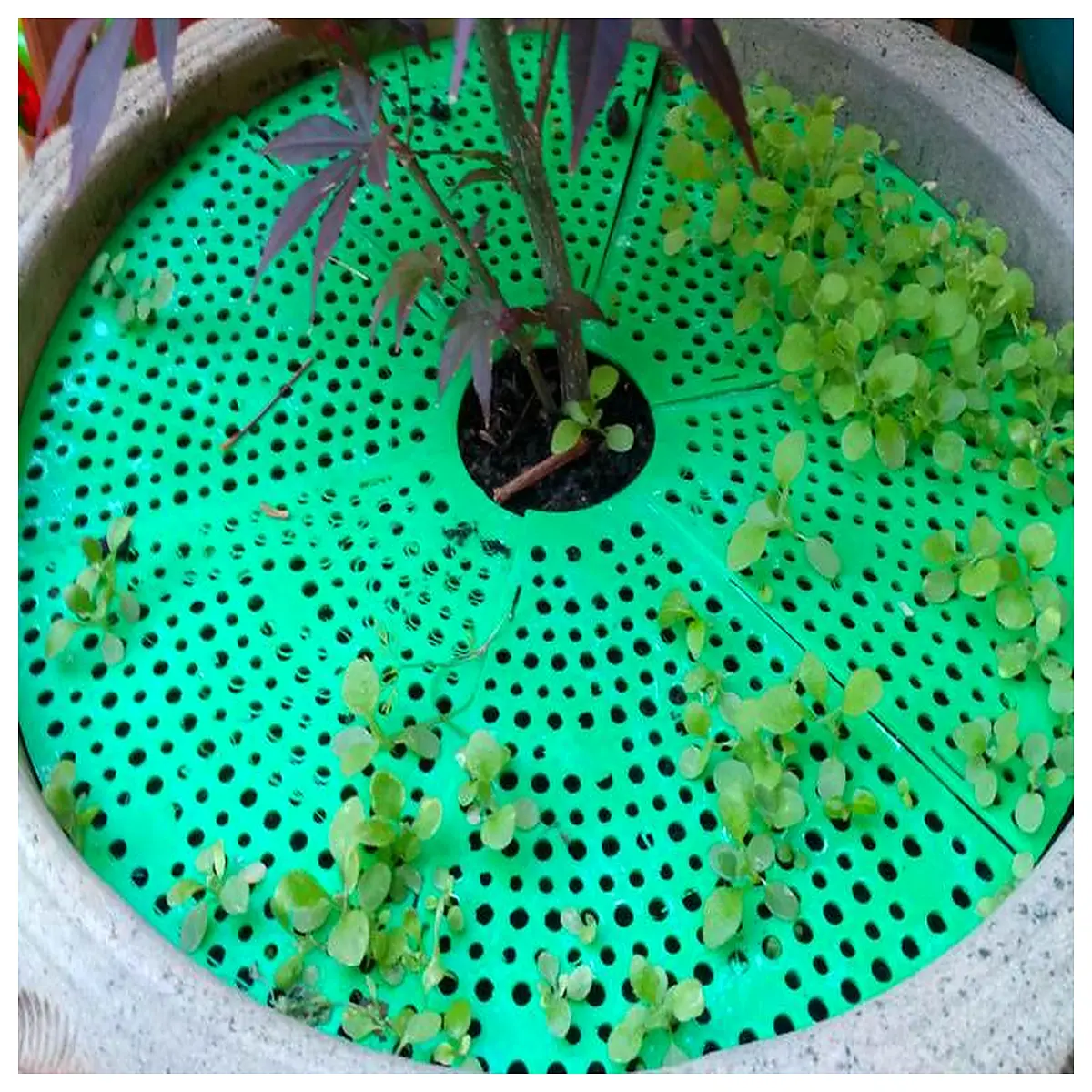 Flower Pot Protector 320mm Plant Guard Sleeve Garden Protection Pot Accessories Your Plants