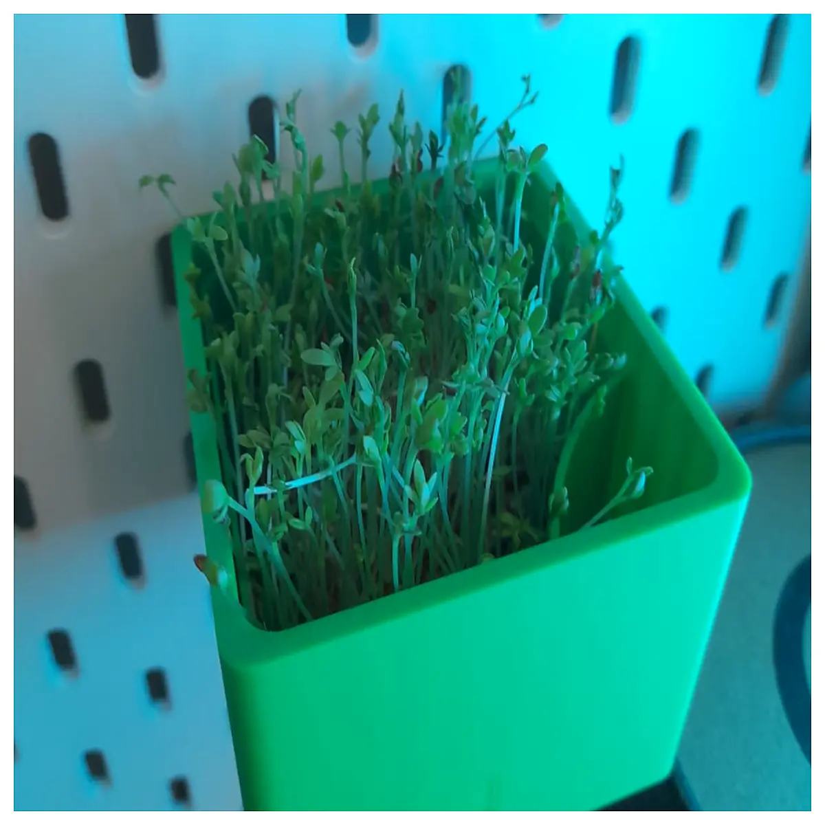 Self Watering Tray Skadis Plant Pot Watering System Garden Accessories Automatic Irrigation Smart Planting Container