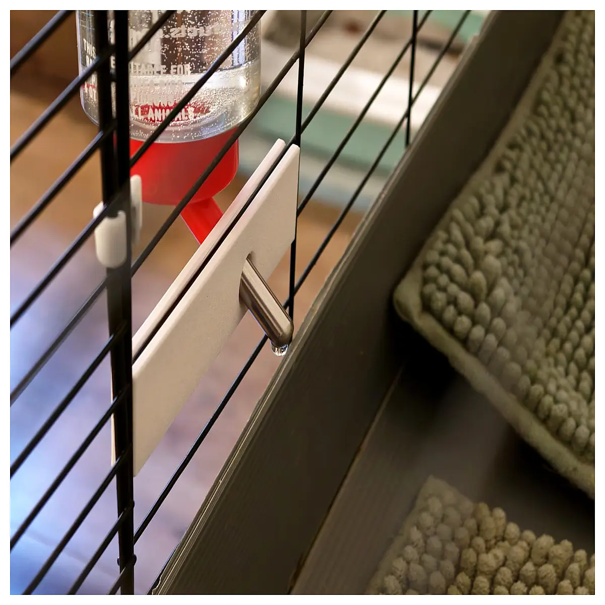 dog water bottle holder clip on leash anti spill stable mount for hiking walking travel