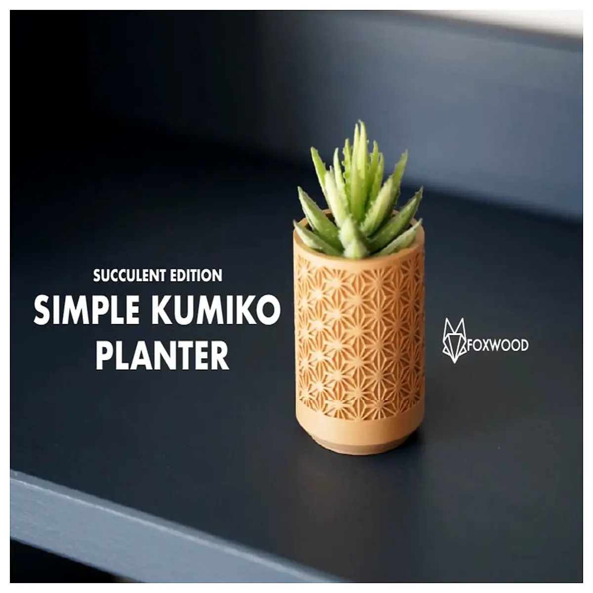 minimalist geometric succulent planter small modern ceramic pot for desk home decor