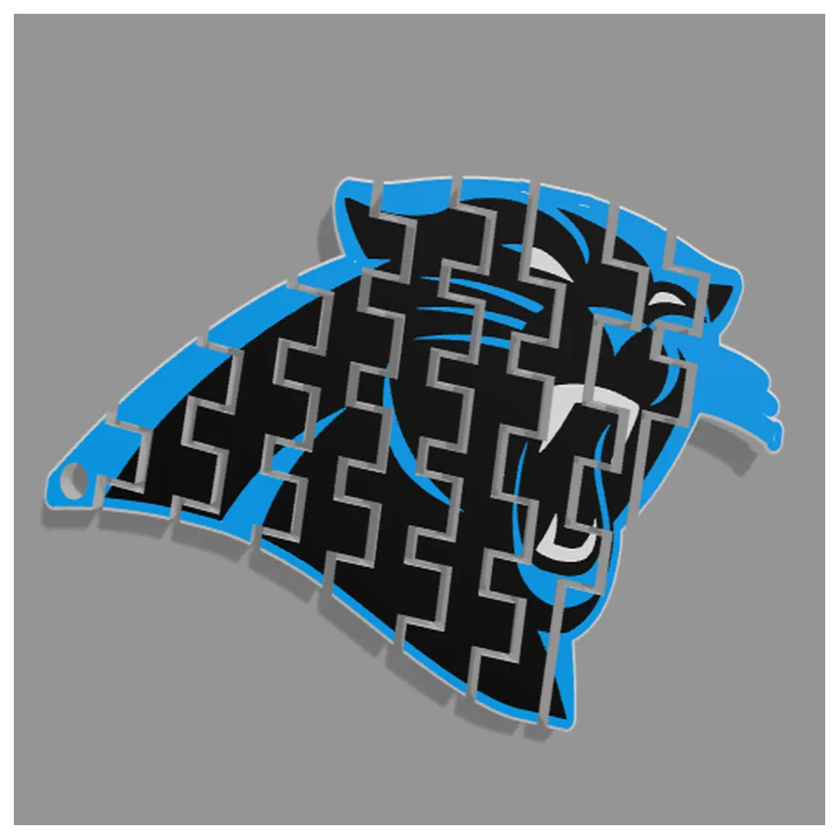 Carolina Panthers Keychain Movable Charm Car Accessory Team Decoration Black Pendant