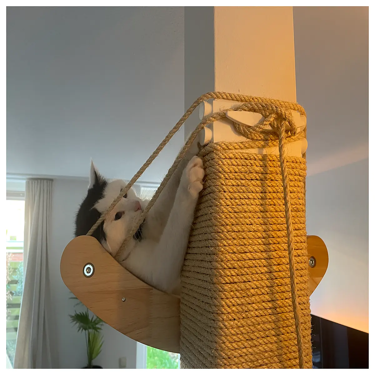 Cat Scratch Post 150x150mm DIY Toy Post Scratching Pad Cat Play Essential
