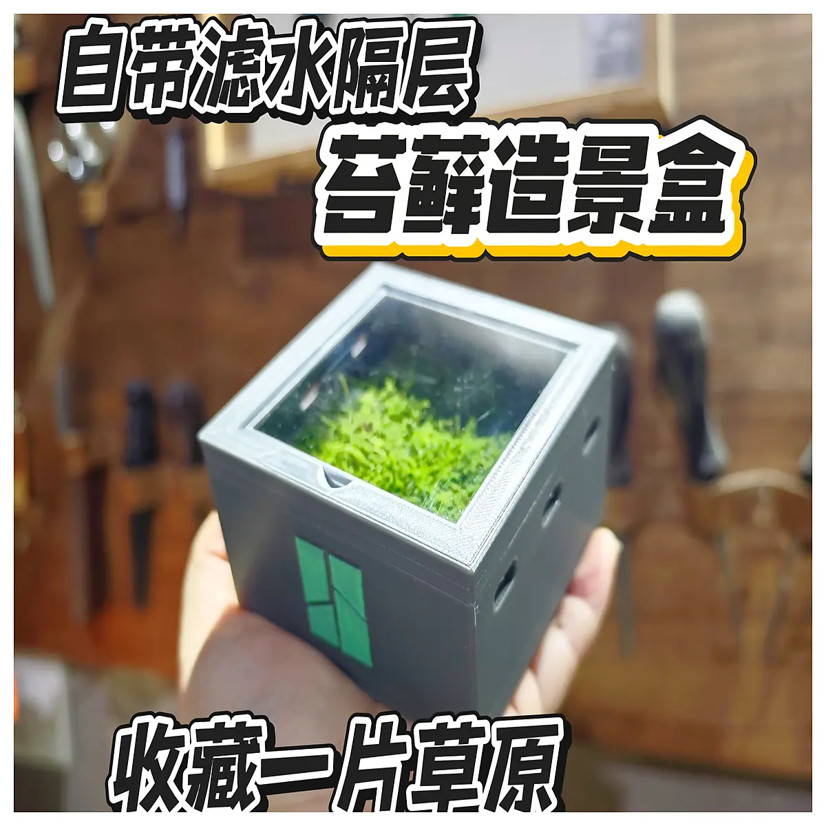 Desktop Moss Box Plant Display Box Ideal for Small Plants Terrariums Greenery Container for Desk Decor Eye Friendly Moss Display