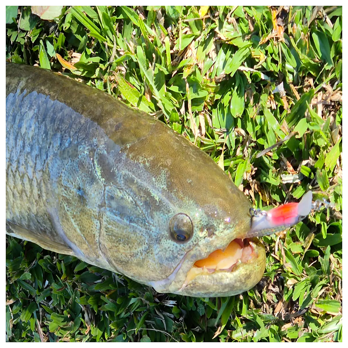 80mm Floating Minnow Lure Fishing Bait Fishing Accessories Floating Underwater Fishing