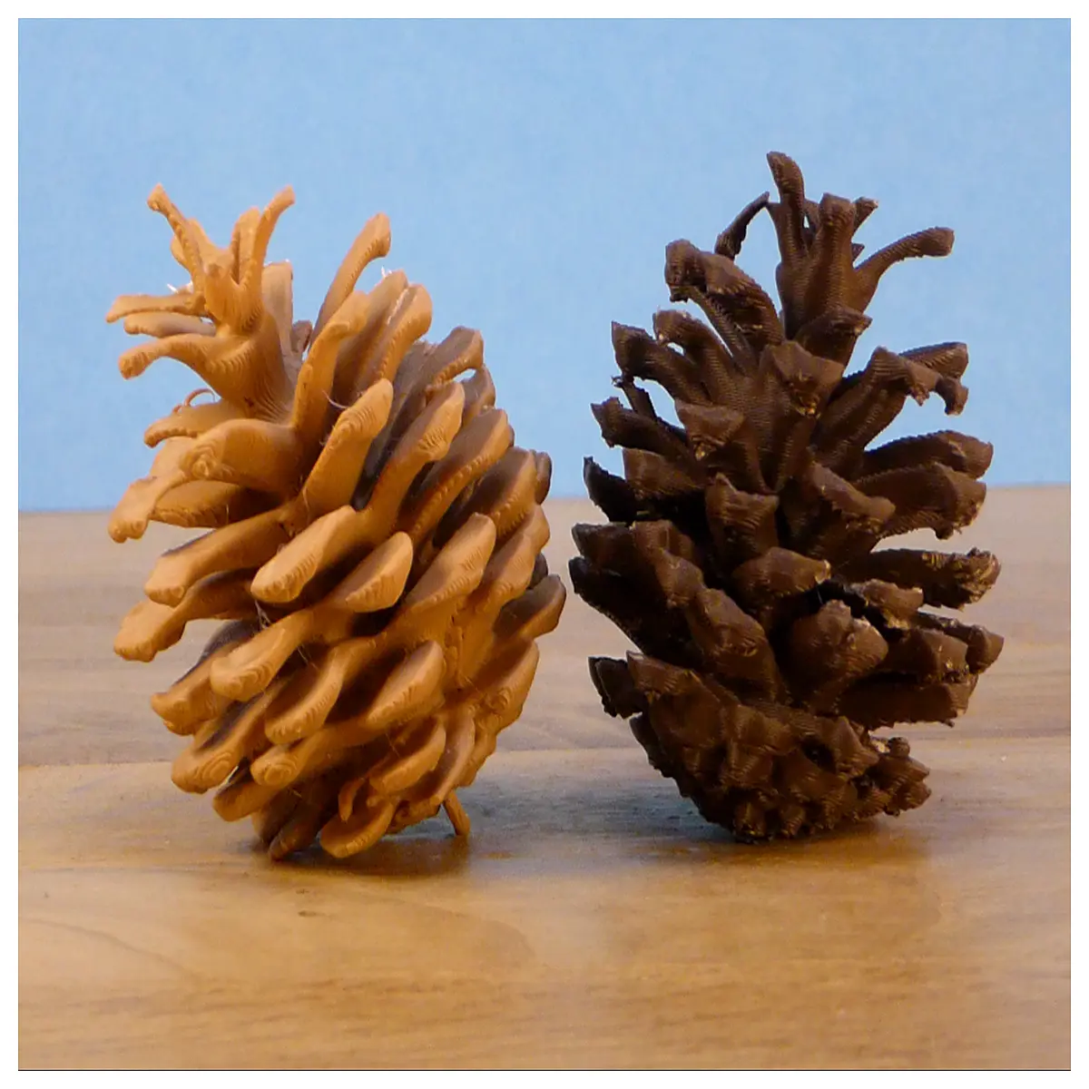 natural pinecone ornaments for christmas tree rustic winter decor dried brown cones for wreath crafting holiday table centerpieces eco friendly festiv
