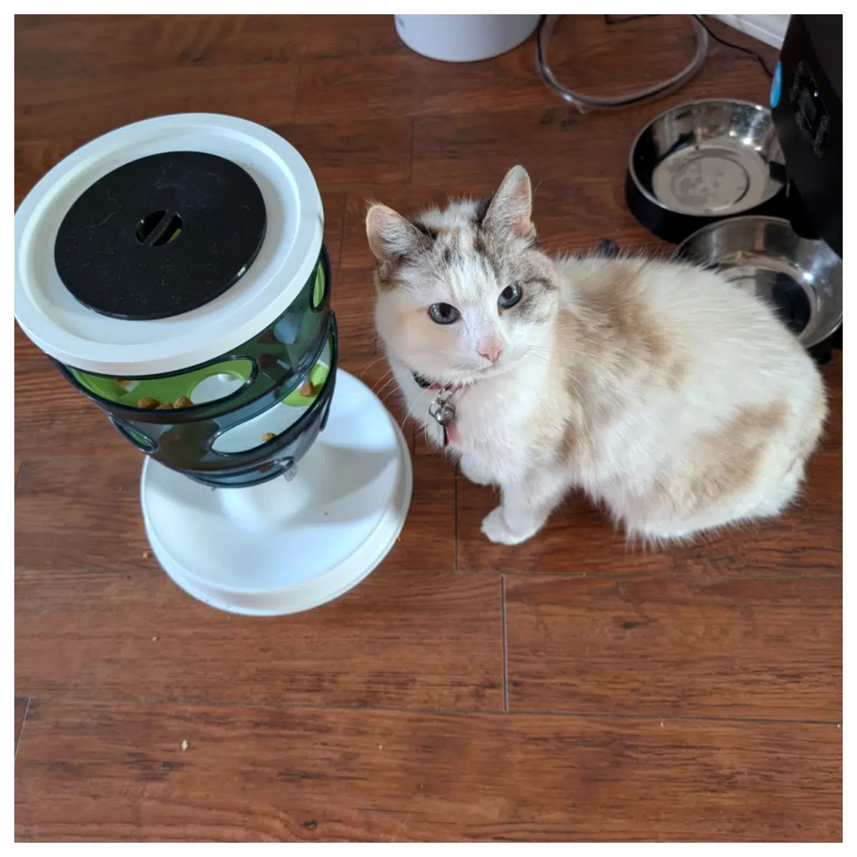 Cat Food Tree Lid Pet Food Bowl Cover Anti Splash Feeders Replacement Parts Accessory