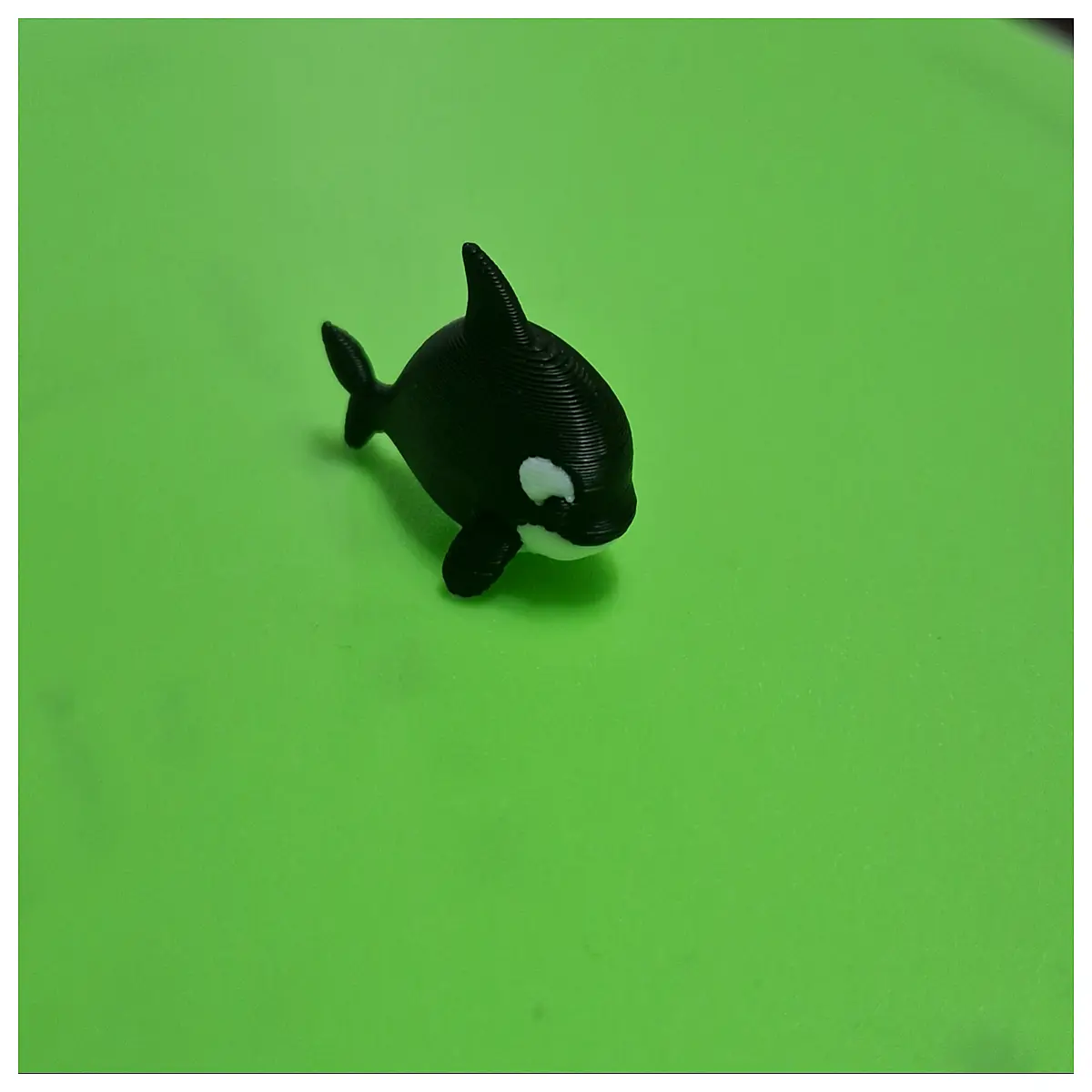 Mini Multi ed Orca Toy Realistic Ocean Animal Model Kids Educational Toddler Figurine Aquarium Decoration Cute Pet Learning Cognition