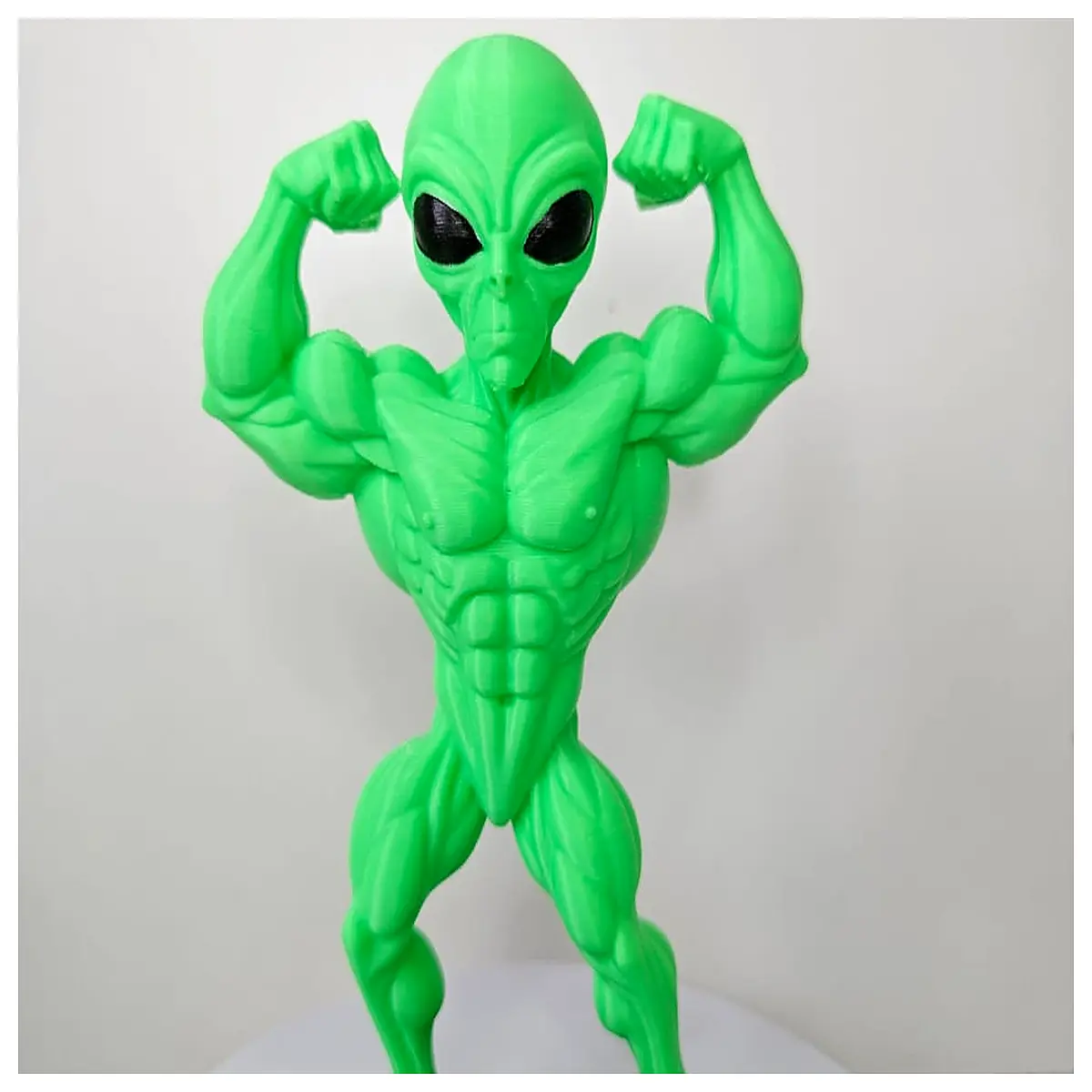 Maromba Alien Dumbbell Handle Grip Fitness Accessory Strength Training Dumbbell Grip Exercise Accessory
