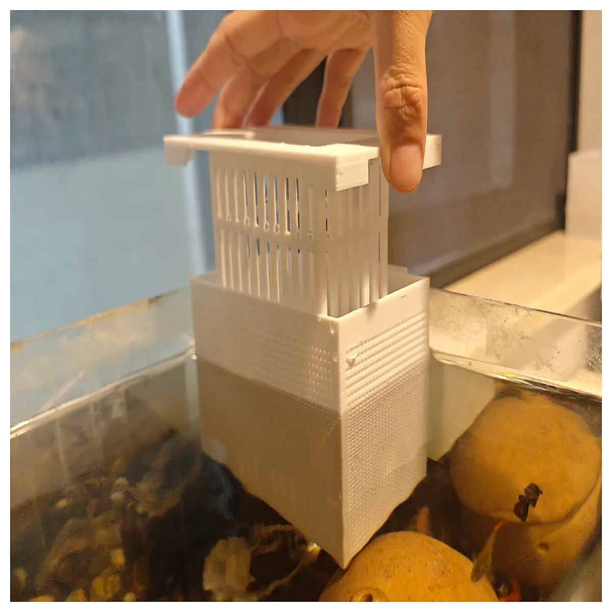 breeder box for guppies fry separator tank breeding isolation container aquarium hatchery