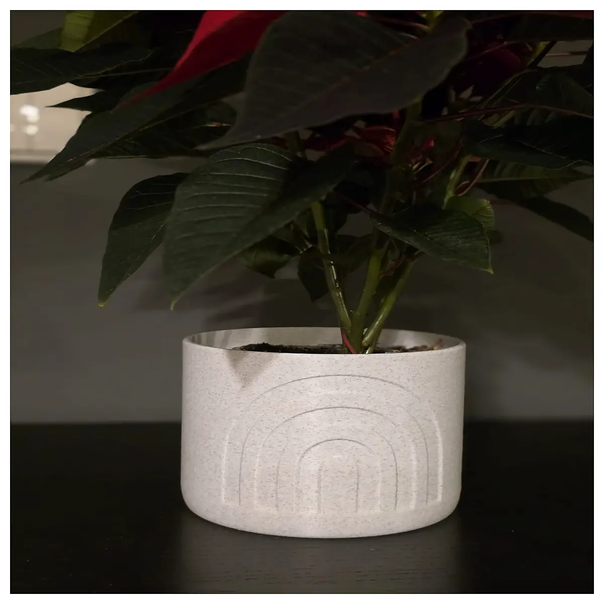 modern ceramic planter pots for indoor plants minimalist concrete flower pots with drainage stylish succulent planters for home decor