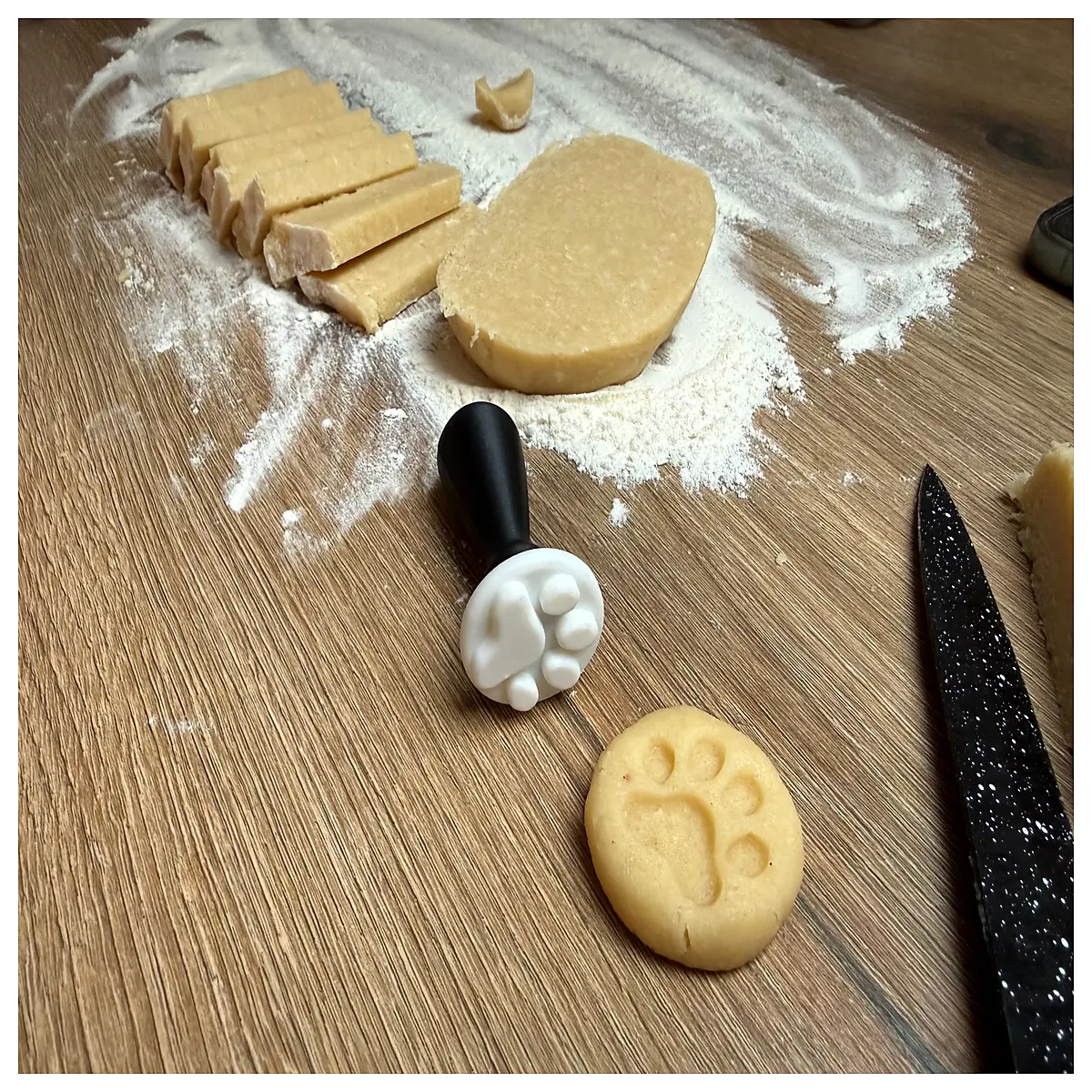 Cat Paw Stamp for Baking Cookies Clay Modeling DIY Crafts Pet Impression