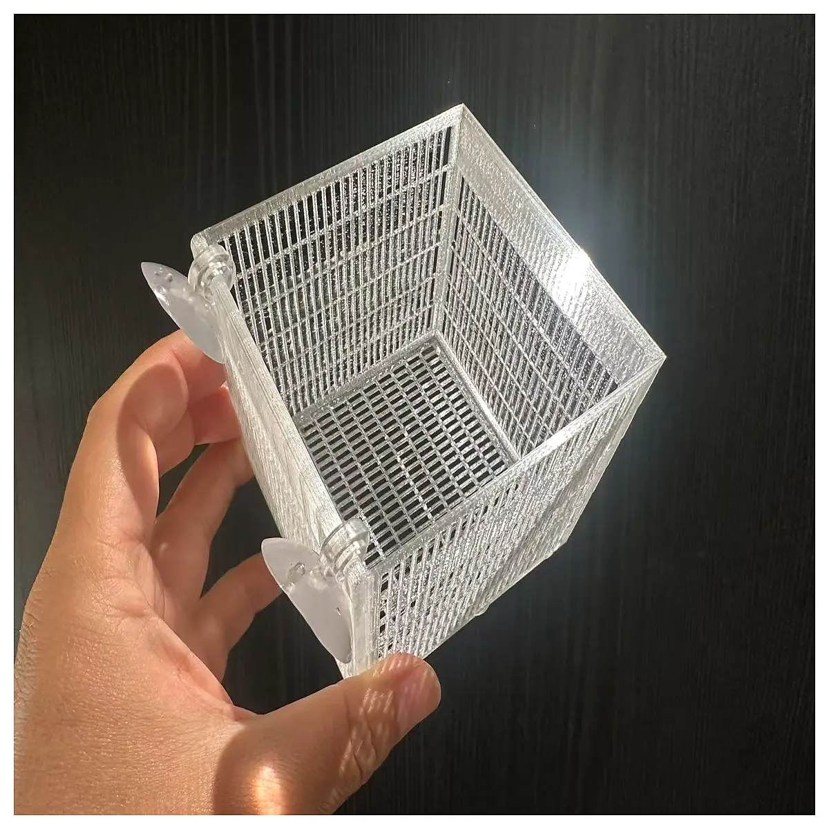 fish tank divider box breeder isolation cage for fry goldfish breeding separator with ventilation holes