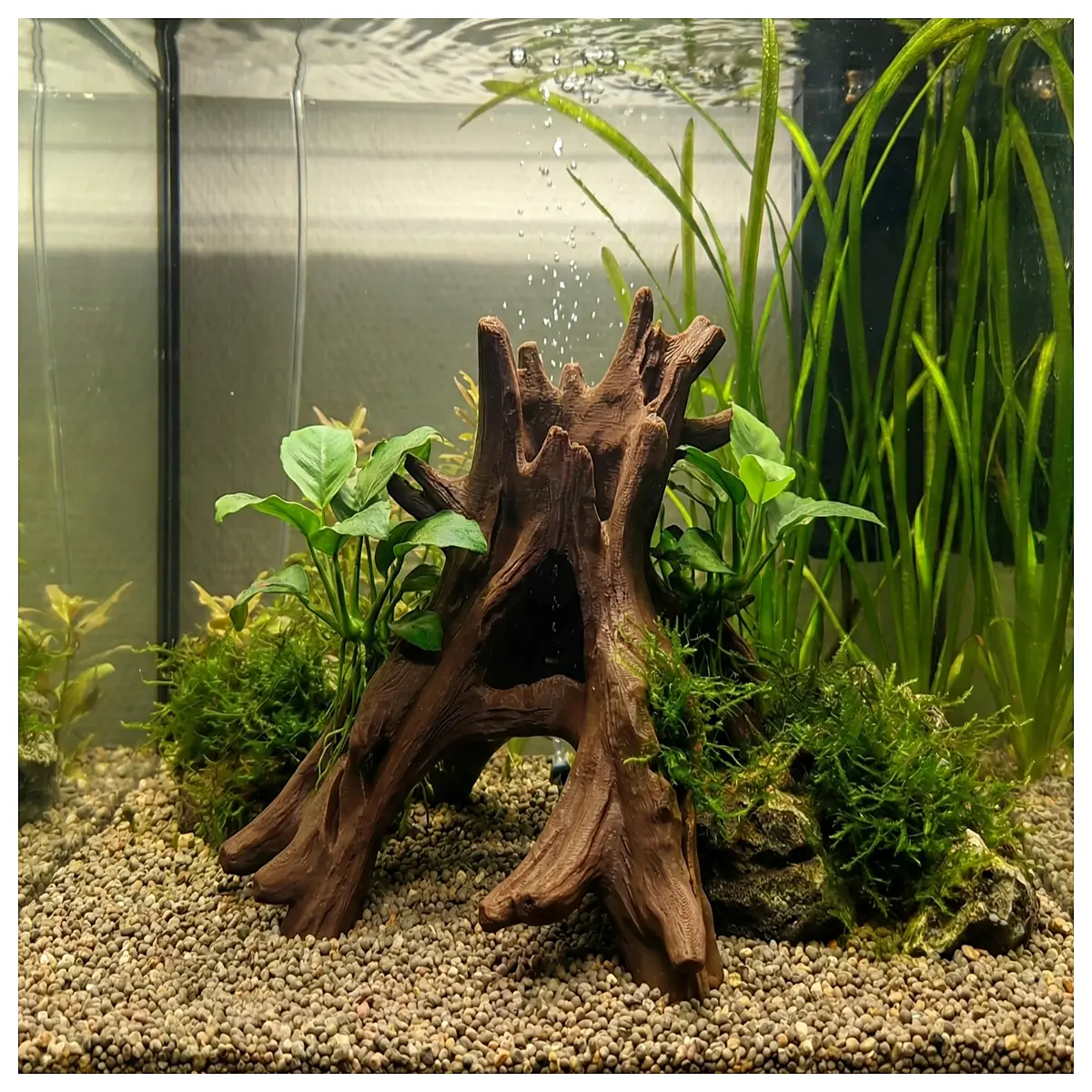 Aquarium Terrarium Land Ecosystem Box Organic Root Cave Fish Tank Substrate Plants Acrylic Trees Aquarium Decorations