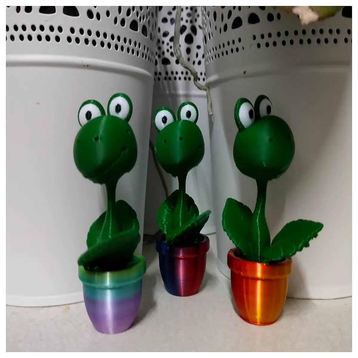 Container Plants Wholesale Indoor Foliage Plants Flower Potted Plants Home Decor Office Plants Balcony Greenery Plant Bulk Supply