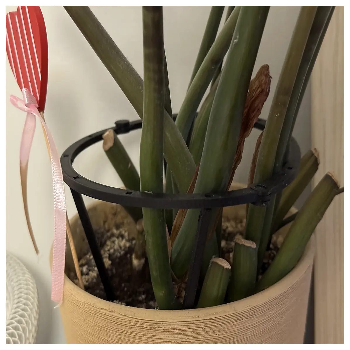 Plant Support Ring Tool Clip Design Flower Pot Holder Indoor Plant Support Plant Support Accessories