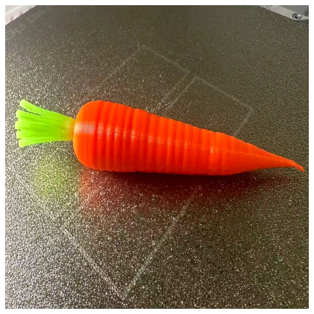 Carrot Root Root Vegetable Nutritious Cooking Ingredient Root Vegetable Supply
