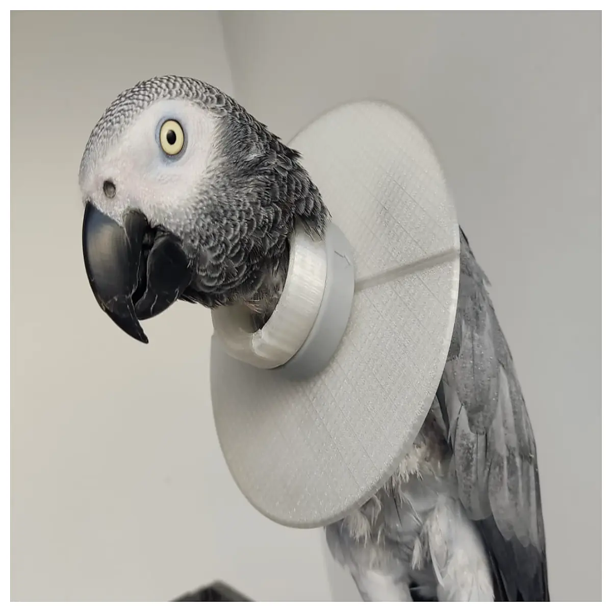 Parrot Cover Protector Bird Cage Accessories Bird Guard Net Parrot Cage Shield Bird Protection Device Cage Supplies