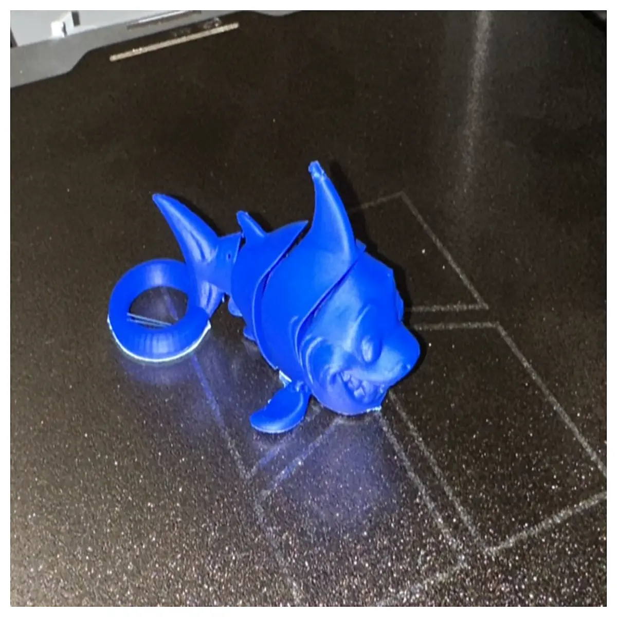 Moving Shark Joint Model Toy Articulated Shark Skeleton Keychain Educational Bone Model Ocean Animal Figure Shark Parts