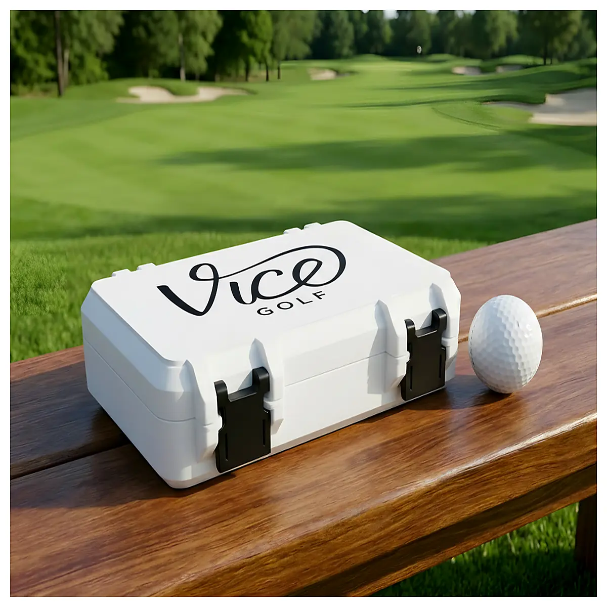 Ball Storage Box Club Organizer Bag Case Accessories Storage Solutions Improve Your Game