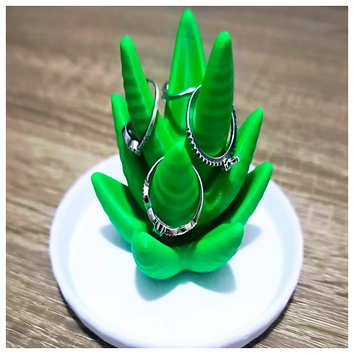 aloe vera ring holder with tray storage organizer for vanity table jewelry
