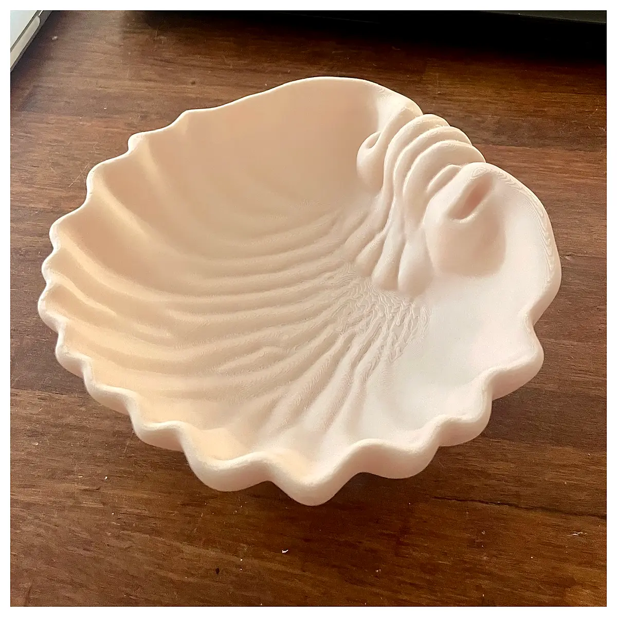 decorative seashell bowl centerpiece table decor home accents
