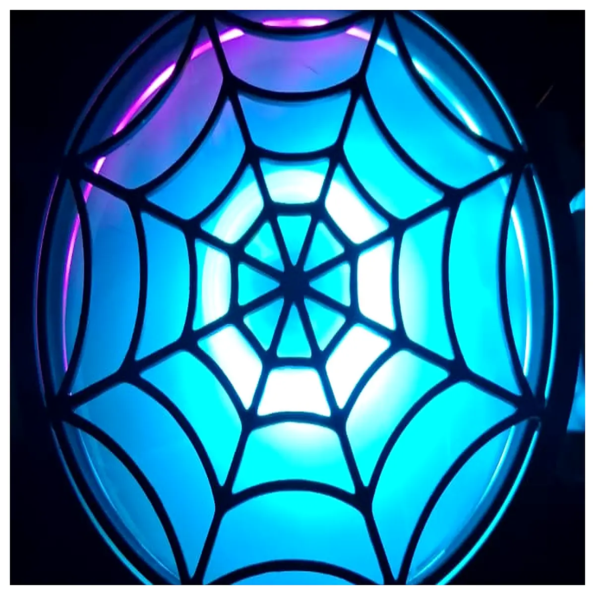 Spider Web Cover Cleaning Wall Shade Spider Web Remover Home Accessories Spider Web Cover