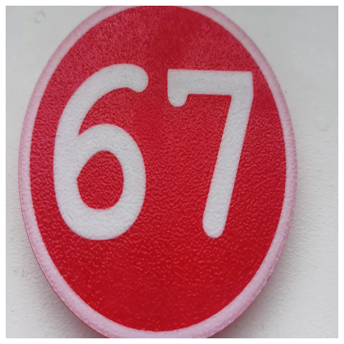 Badge 67 Commemorative Collectible Gift Present Decorative Ornament Memorial