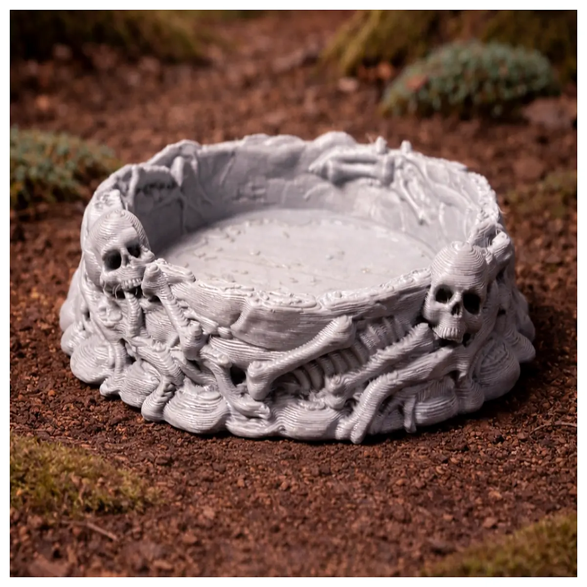 reptile food and water dishes ceramic non tip for bearded dragons tortoises