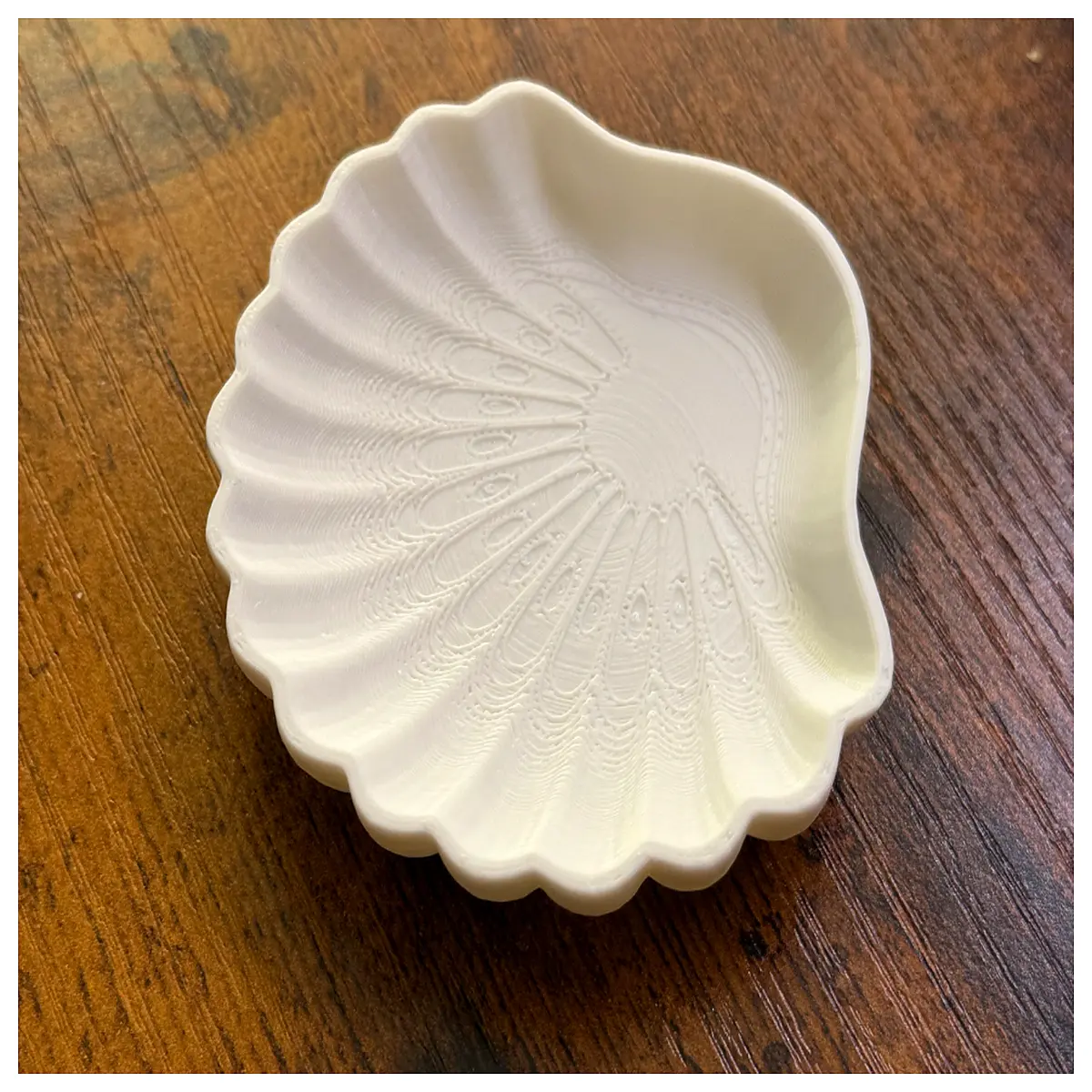 Shell Storage Tray Small Jewelry Dish Mini Organizer Decorative Item Holder Desk Organizer Display Case Storage Container