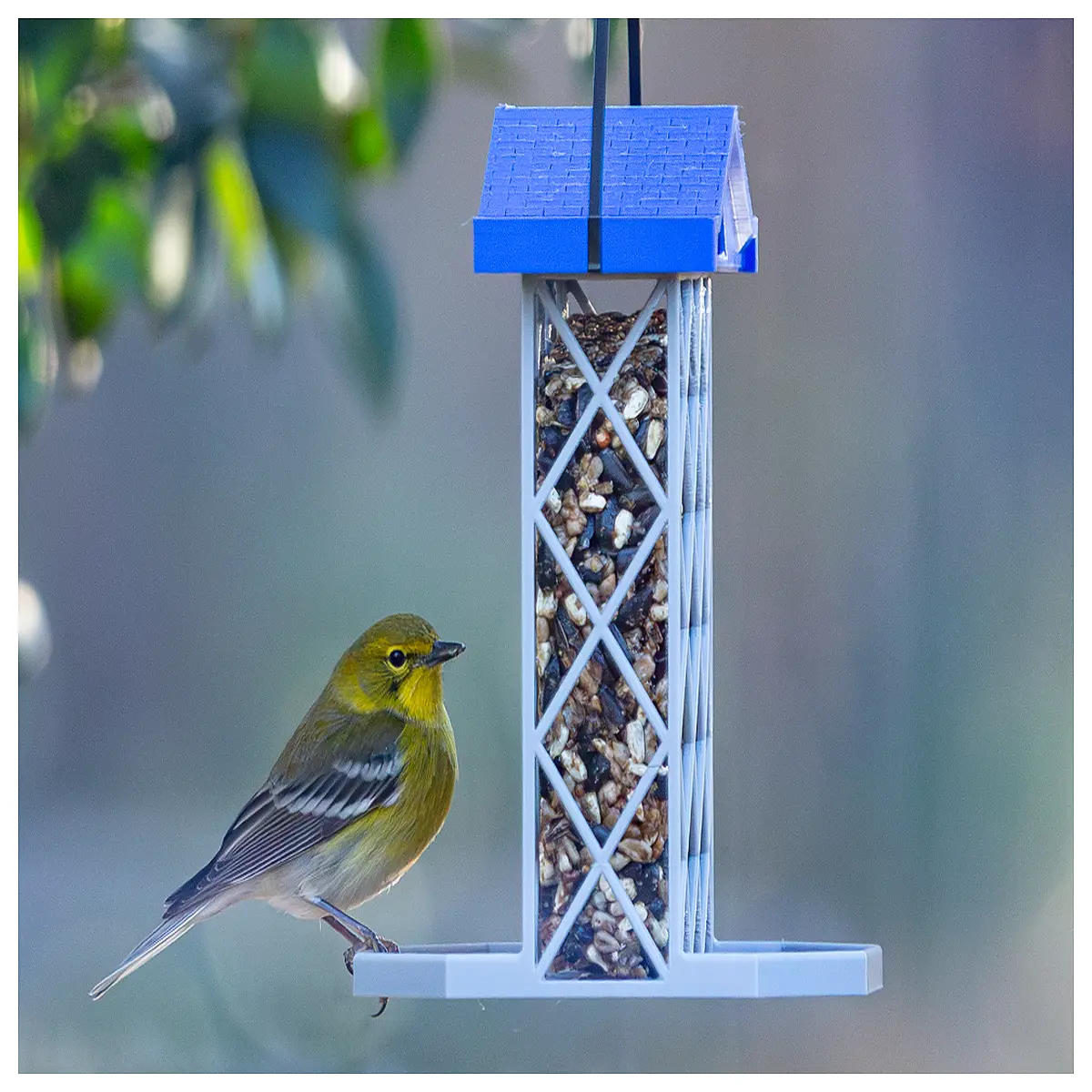 Chicken Fat Bird Feeder Automatic Bird Food Dispenser Bird Seed Feeder Accessories Bird House Parts Bird Food Supplement Feeder Parts