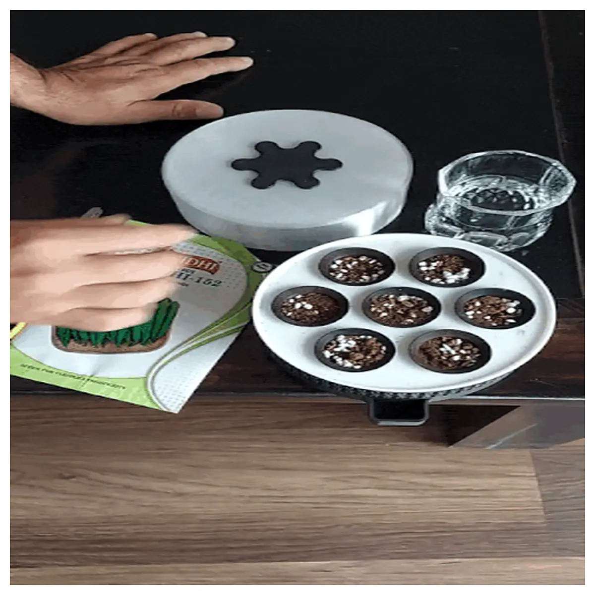 Elegant 7 Hole Desktop Seed Starter Mini Planter Indoor Garden Germination Tray for Seedlings