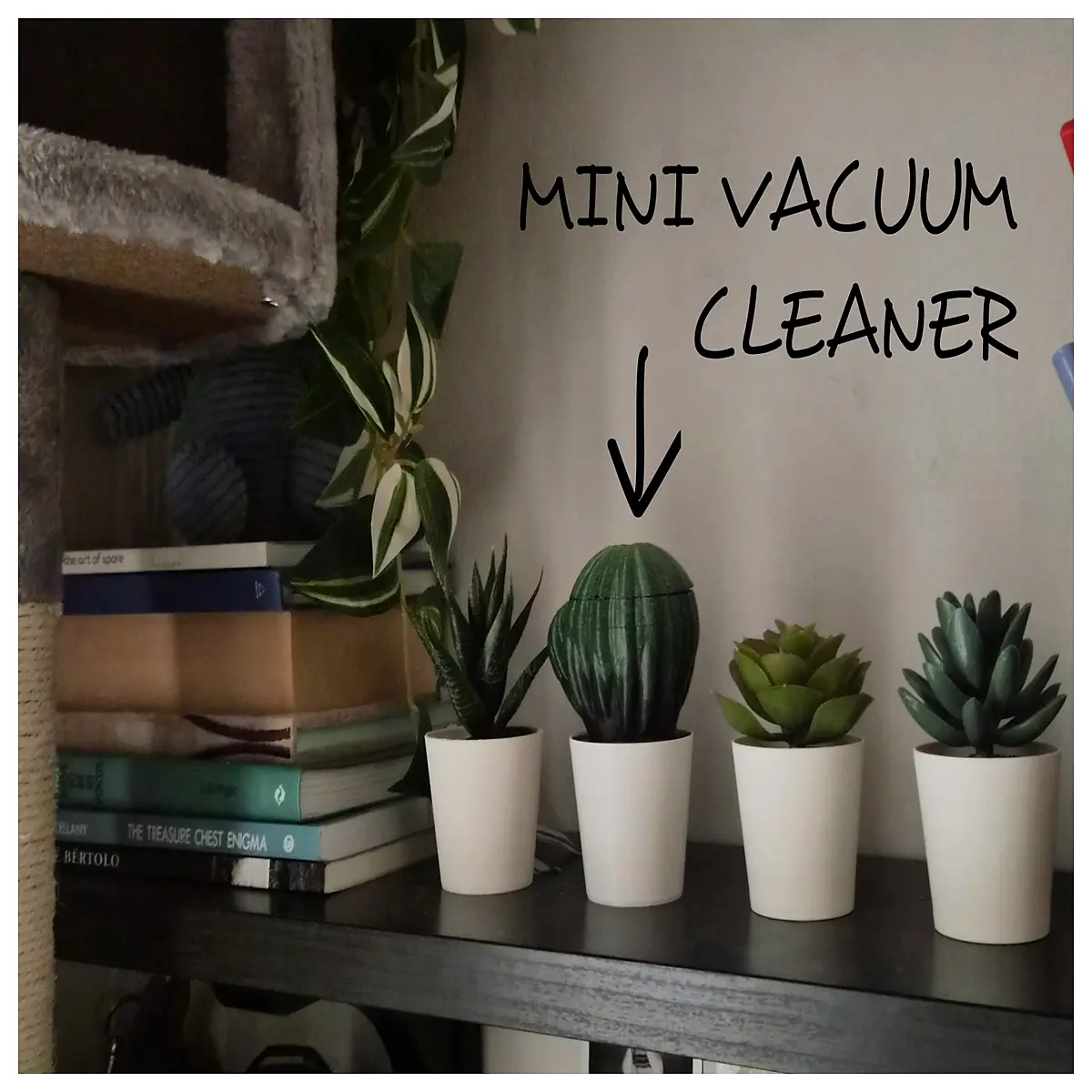 Succqee Succulent Vacuum Cleaner Miniature Pot Cleaning Tool Dedicated for Succulent Plants Desktop Green Plant Storage