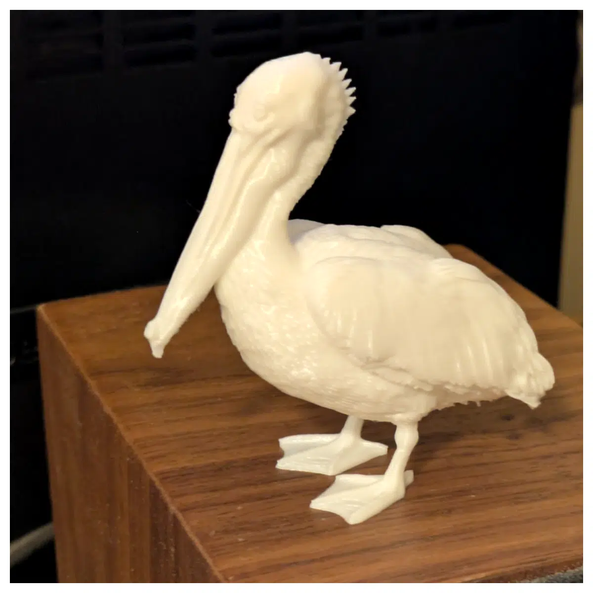 Lifelike Brown Model Realistic Bird Decor Ecosystem Display Pet Toy Bird Collection