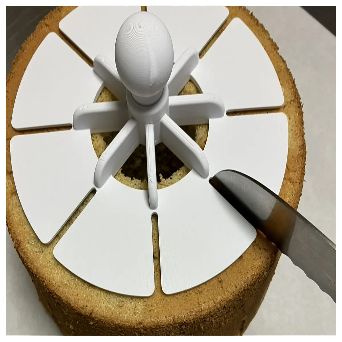 Cheesecake Slicer 5 6 8 9 Slice Divider Easy Cheesecake Cutting Tool Cake Portioner for Cheesecake More