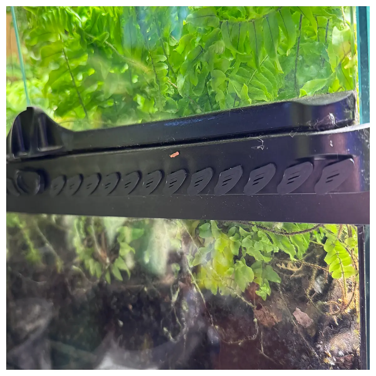 exo terra screen lid replacement mesh ventilation cover for reptile terrariums