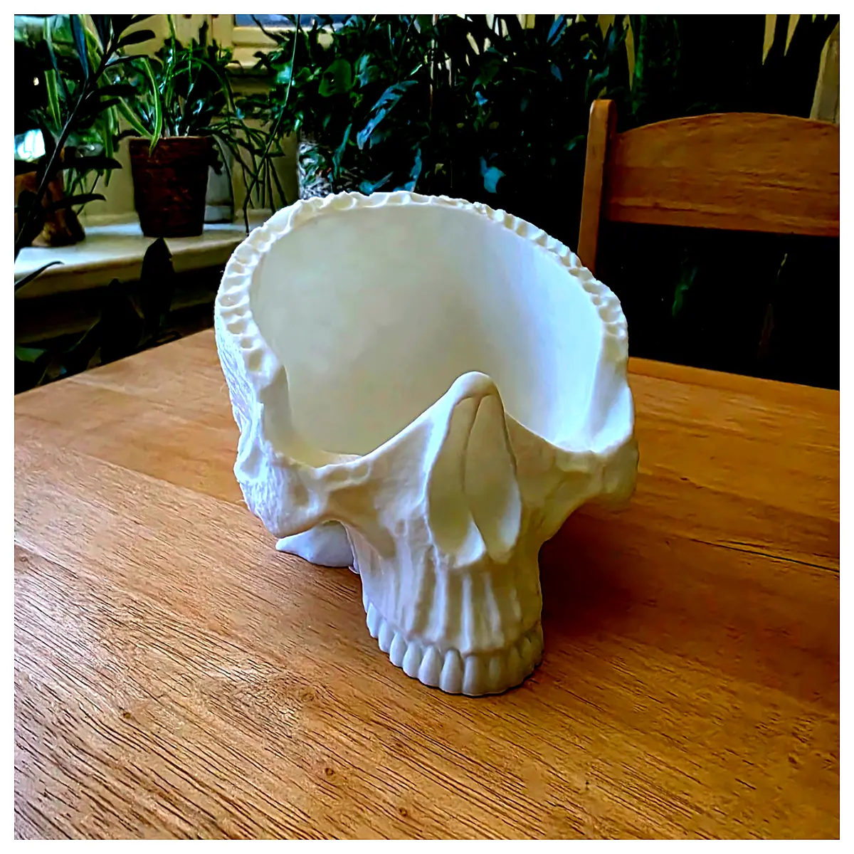 gothic skull storage jar for candy spooky hollow plastic bowl for halloween party favors skeleton head container for crafts