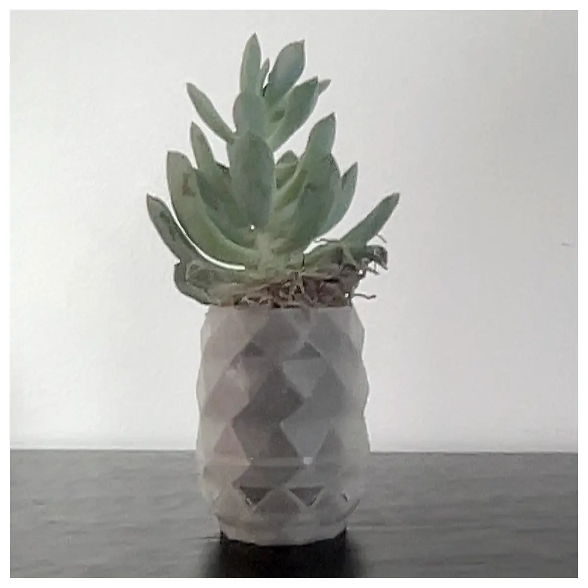 Small Succulent Planters 2 Inch Minimalist Planter Pots Indoor Succulent Container Desktop Decoration