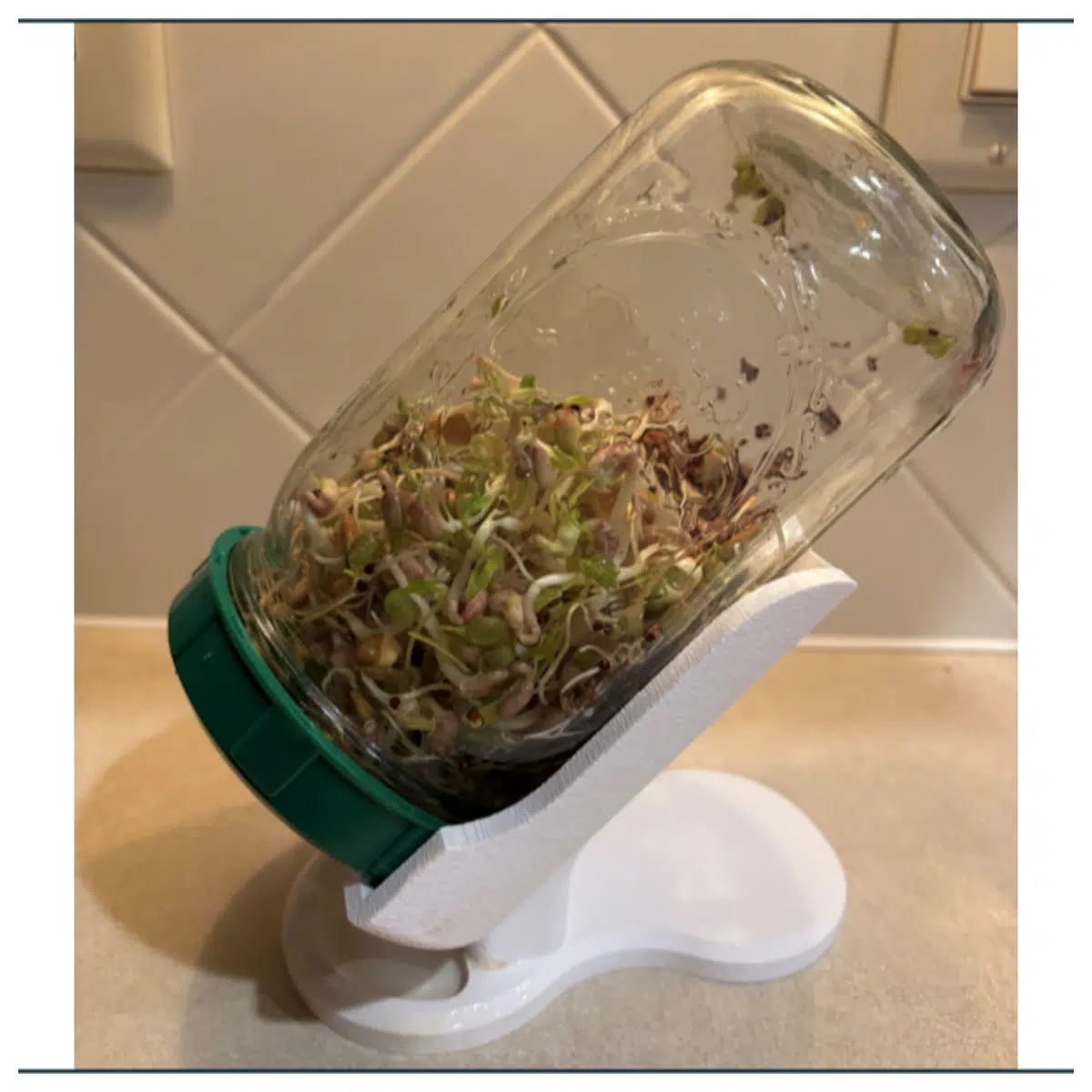 Germination Tray Stand with Drip Tray Seed Starter Vegetable Growing Support Plant Support Accessories