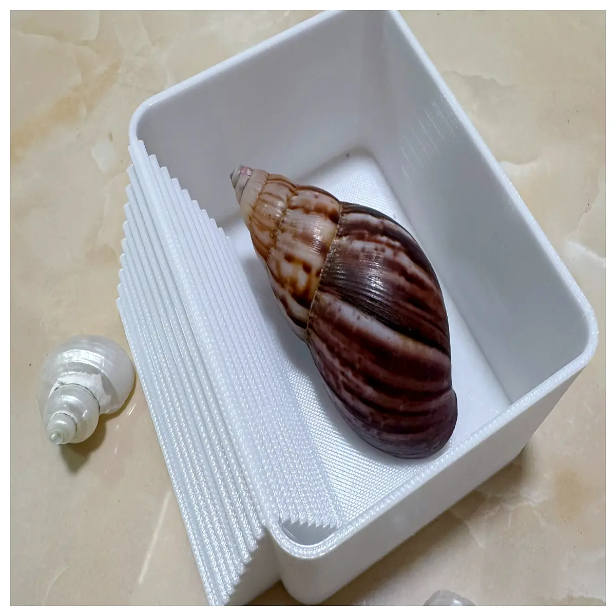Hermit Crab Bath Tub Crab Tank Crab Spa Mini Aquarium Hermit Crab Bathing Equipment Crab Care Supplies