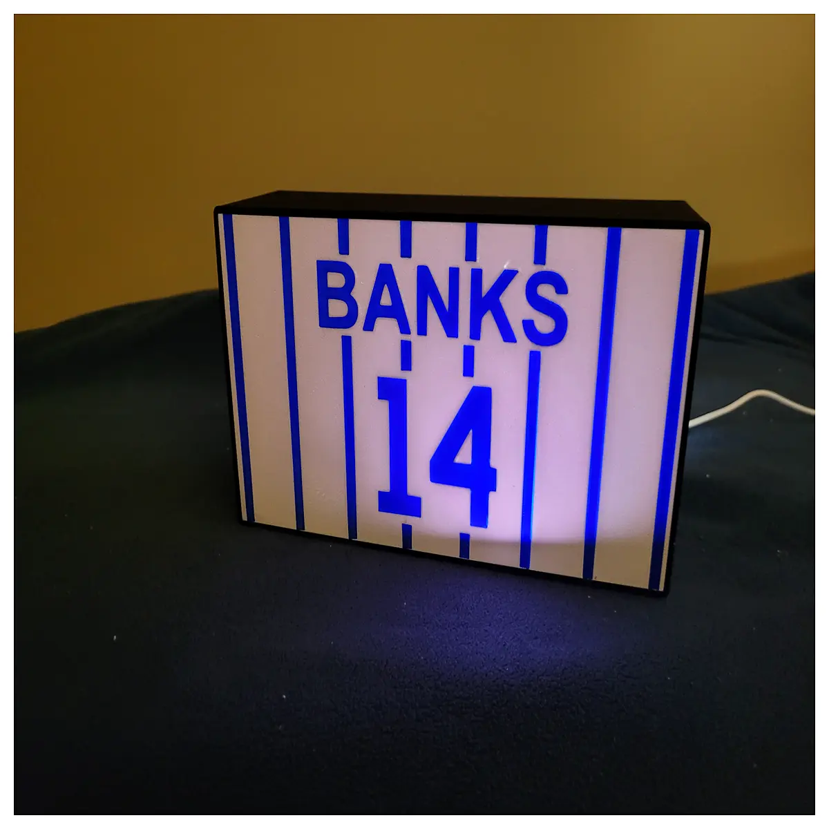 Bears Ernie Banks Retired Number Sign Collectible Gift Memorial Team Memorabilia