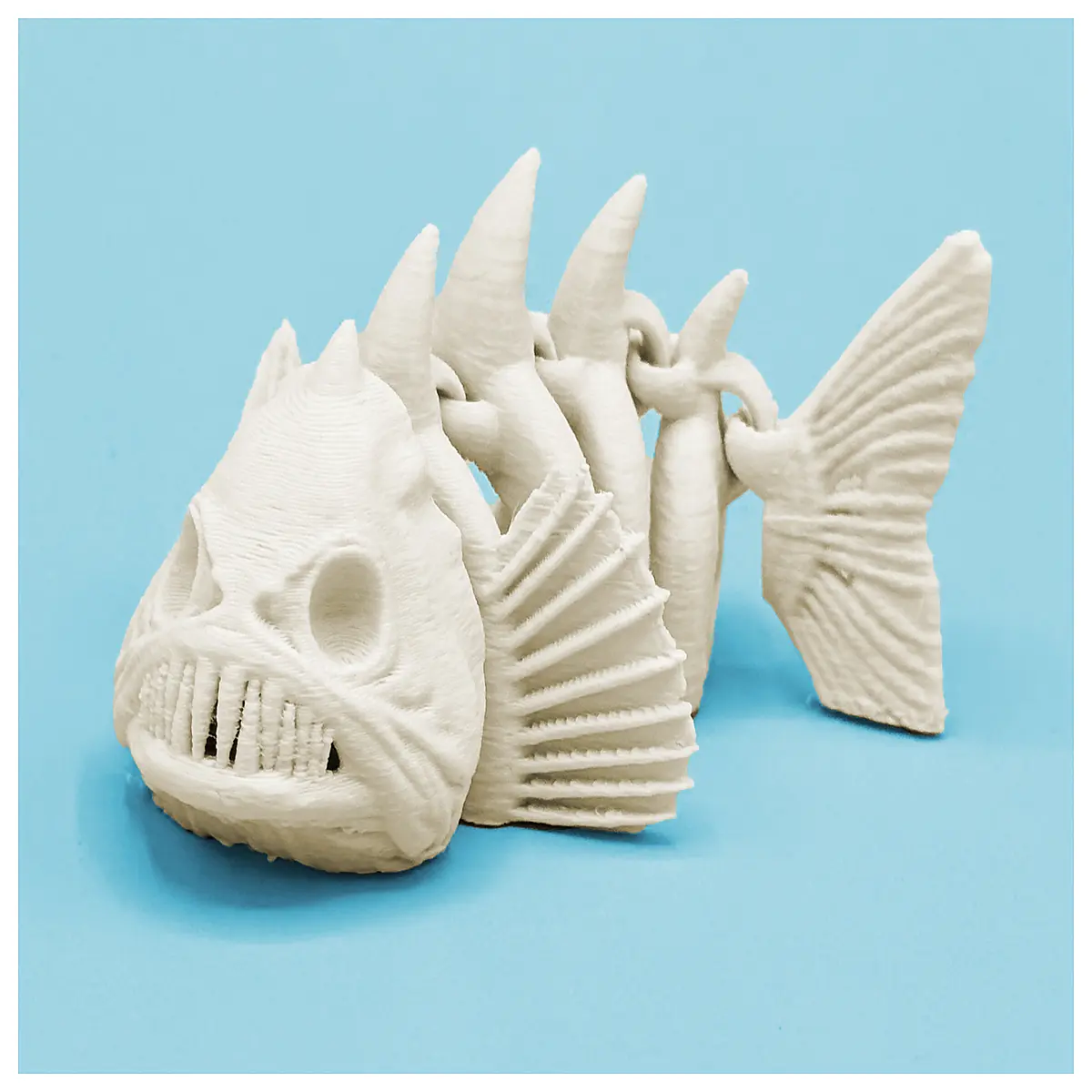 Articulated Skeleton Fish Model Educational Toy Biology Model Science Learning Aquarium Decoration Display Figure