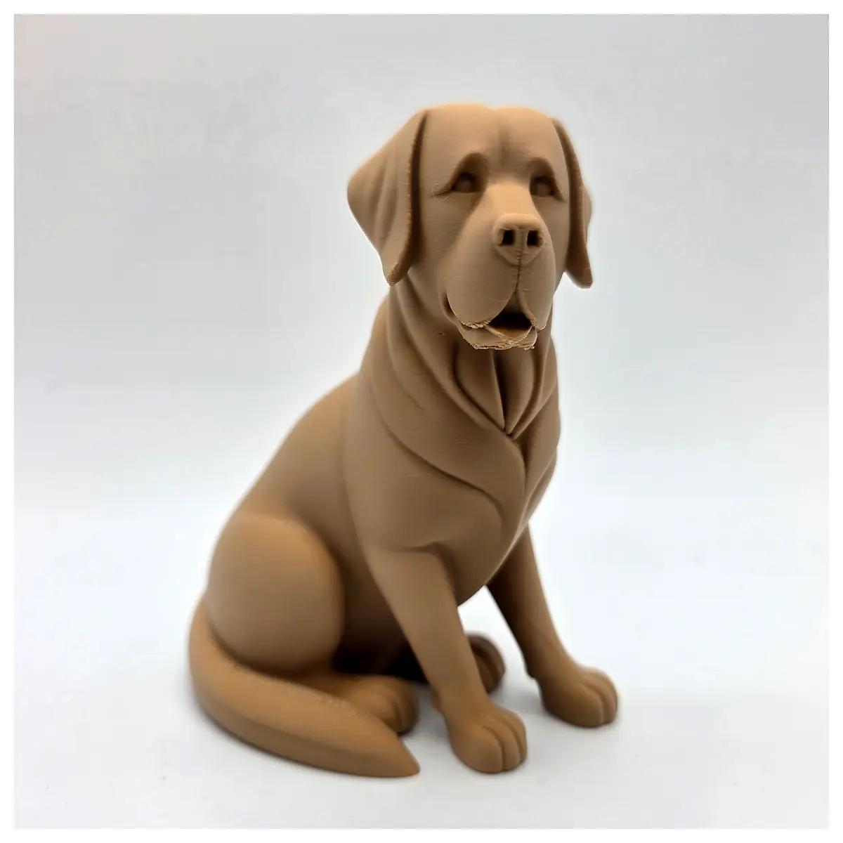 Puppy Labrador Sitting Position Pet Training Playtime Puppy Toys Comfort
