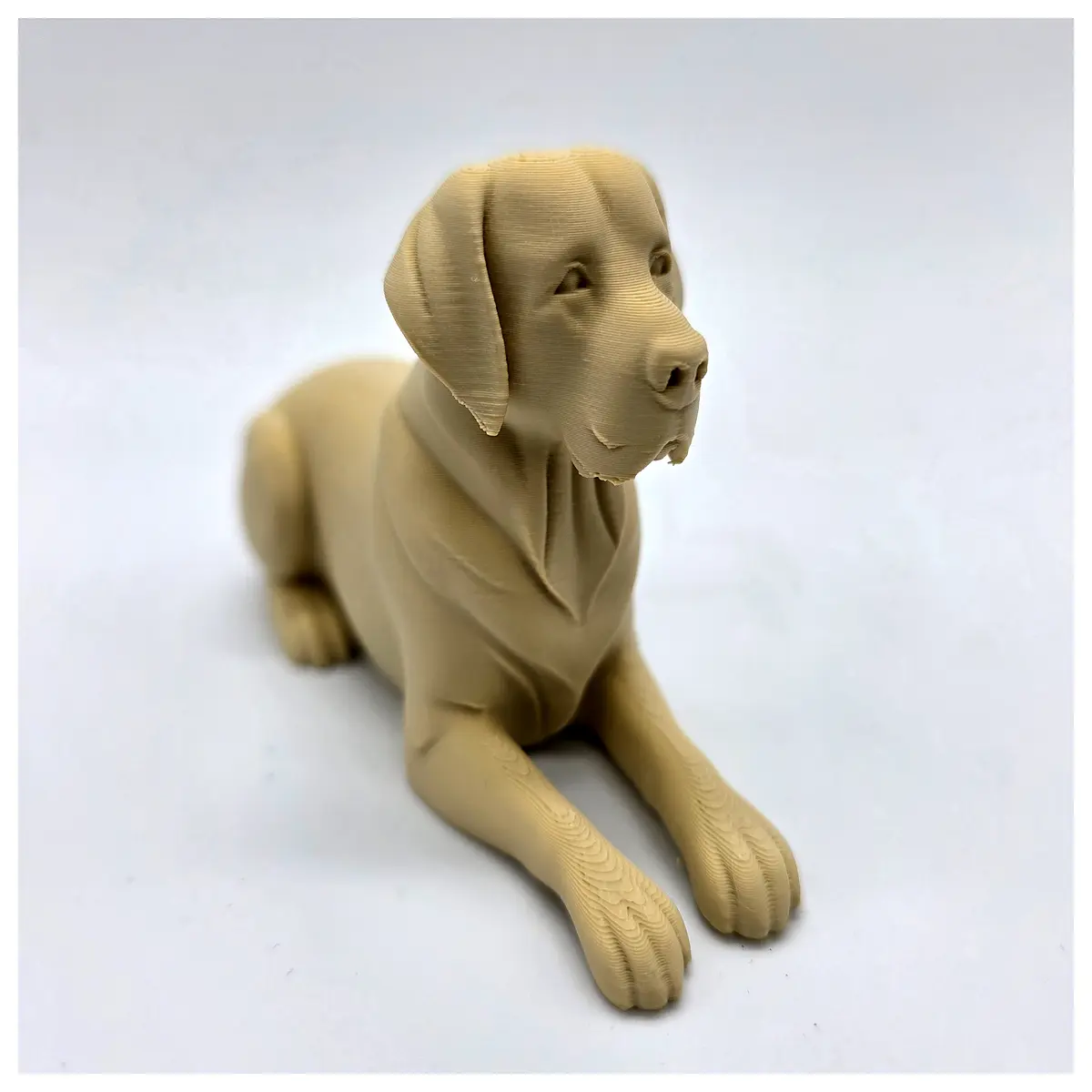Labrador Retriever Accessories Training Toys Dog Leash Food Bowl Pet Clothes Suitable for Large Dogs Outdoor Activities Dog Walking