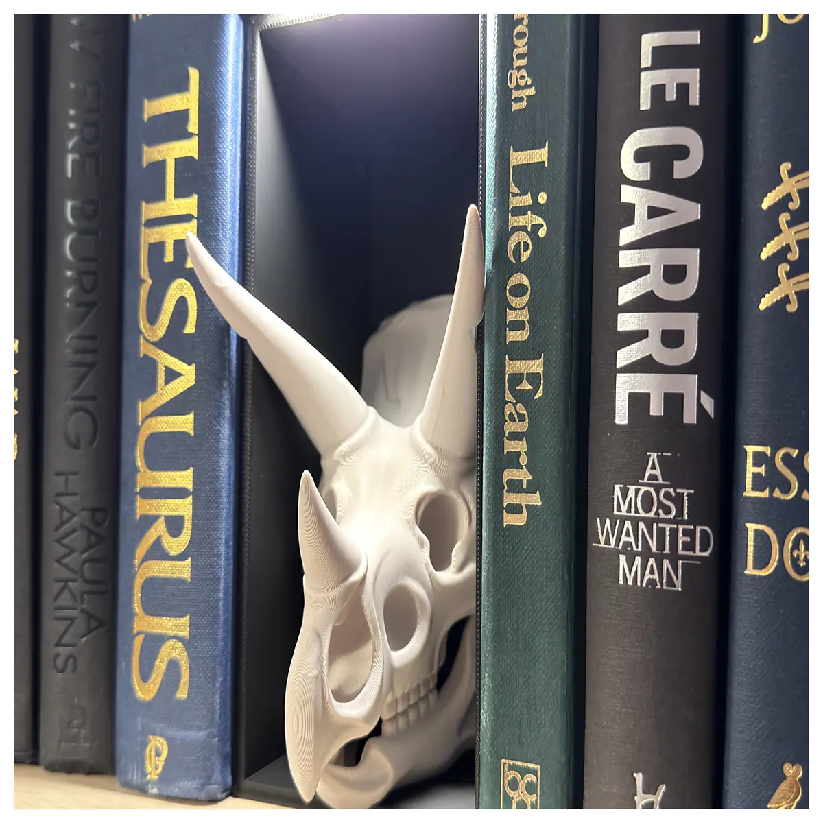 Triangular Skull Book Stand Dinosaur Model Figure Prehistoric Dino Display Toy Collection Decoration