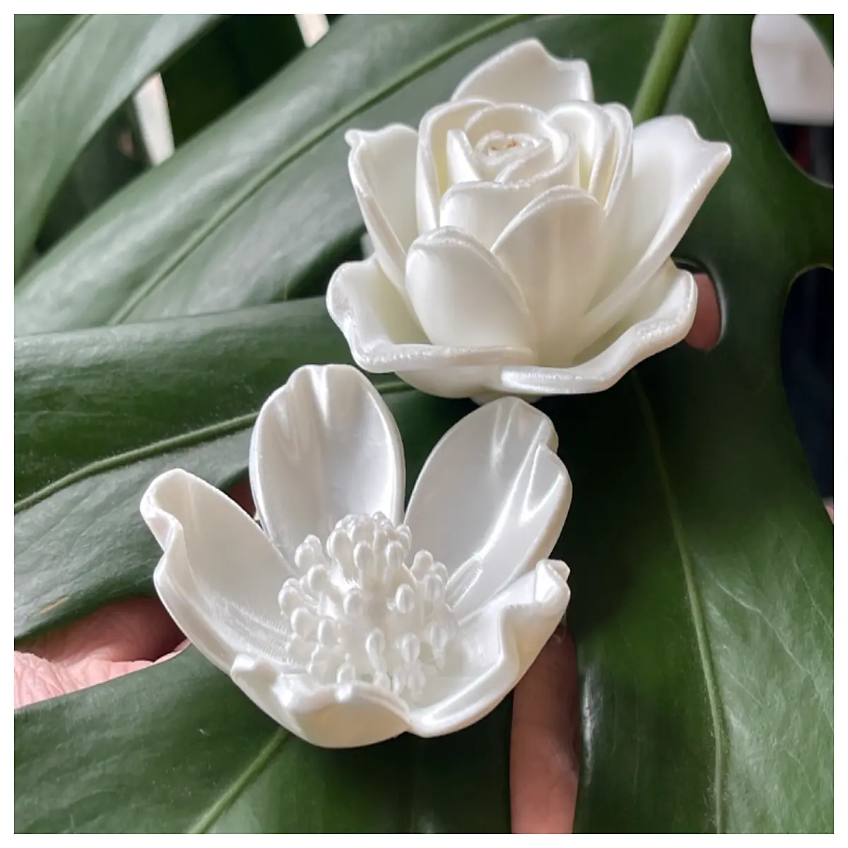 Six Flower Models Set White Yulan Arborvitae Rose Azalea Cherry Blossom Peach Blossom Artificial Flowers Decoration Floral DIY Model