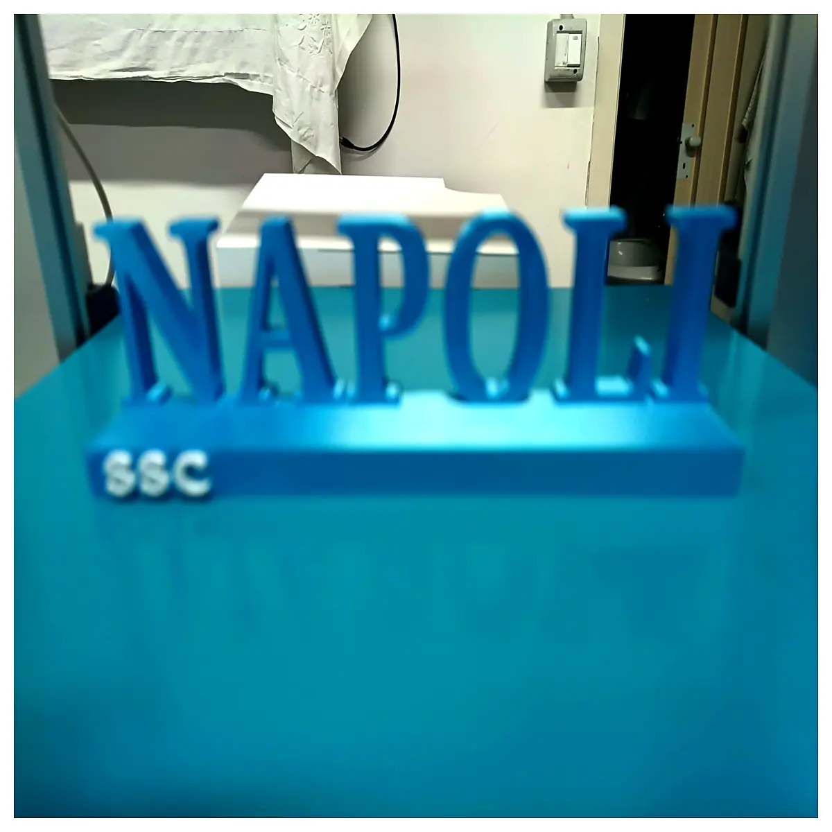 NAPOLI ssc Automotive Parts Repair Car Parts Replacement Accessories Vehicle Components