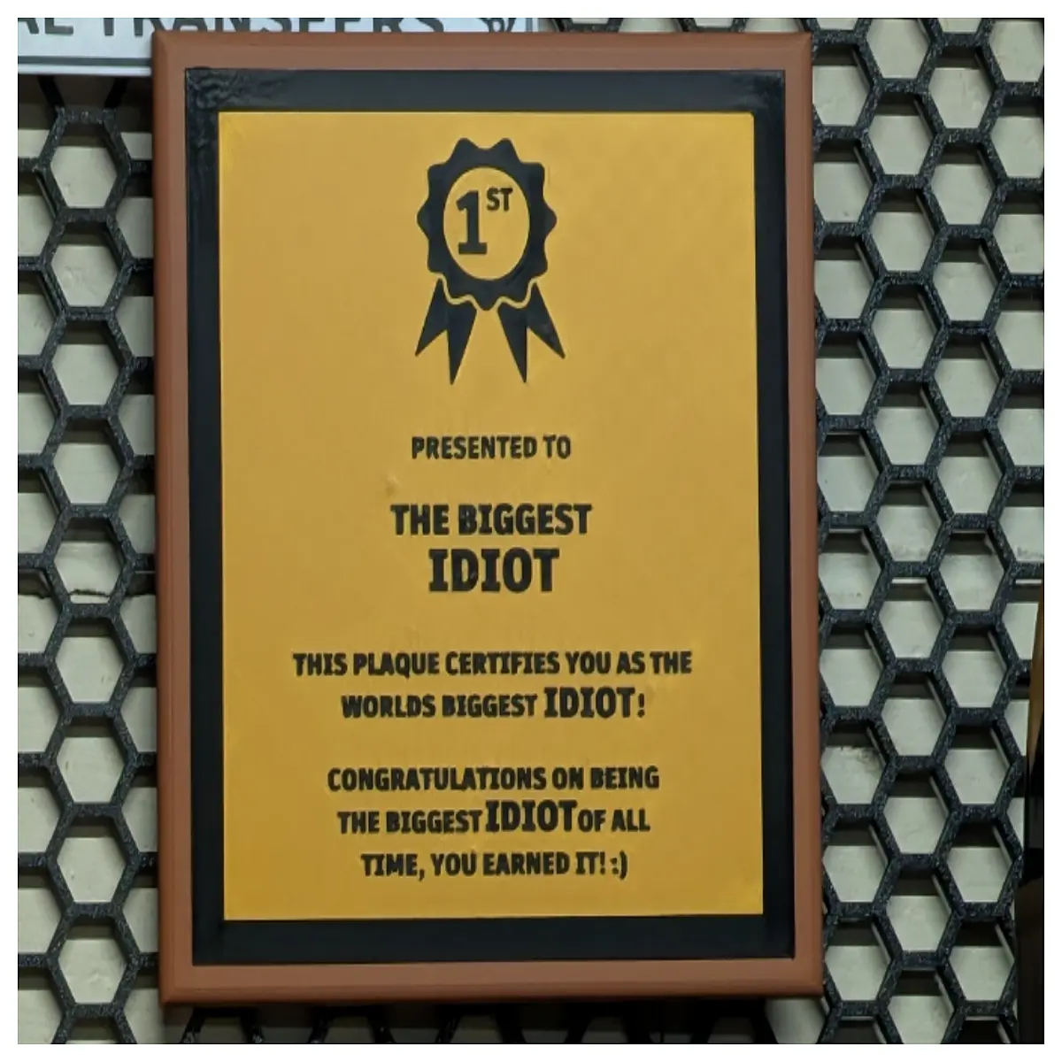 funny idiot plaque for pranks gag best friend humorous wall decor joke sign silly insult board for april fools
