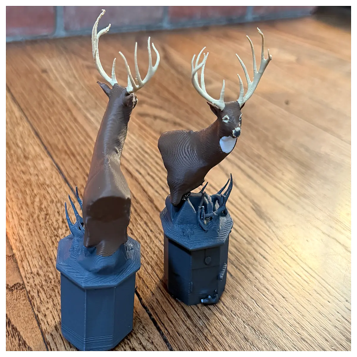 White Tail Deer Specimen Animal Model Specimen Collection Skeleton Display Science Education Buck Mount