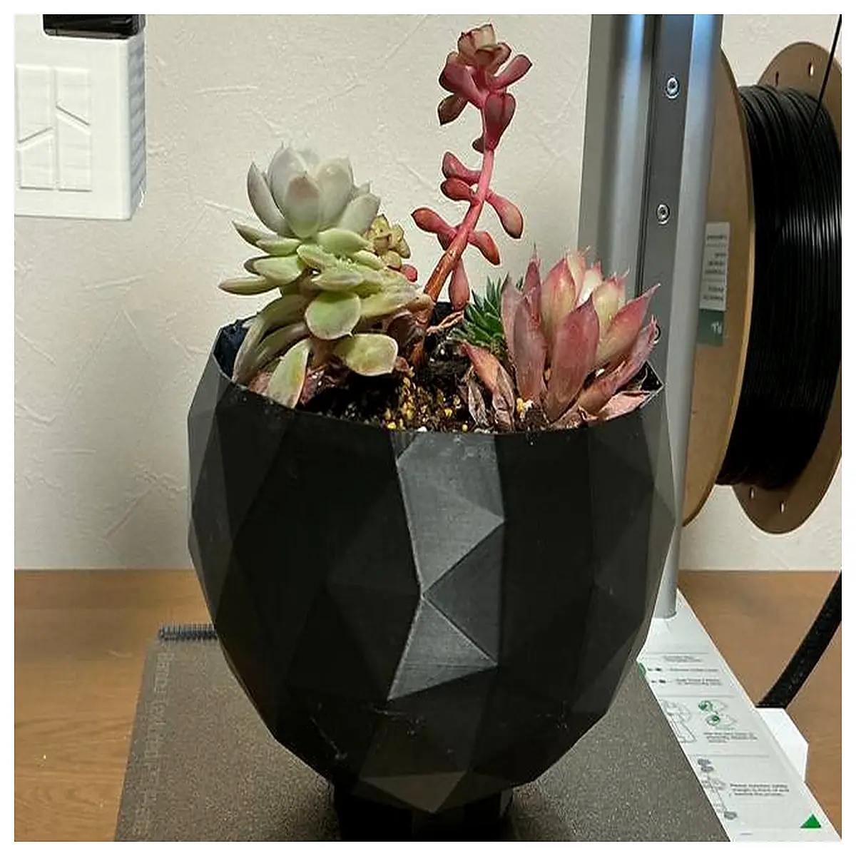 Potmisumaru Cactus Succulents Indoor Plants Home Decor Cactus Pot Plant Growing Garden Decoration Greenery Desktop Ornament