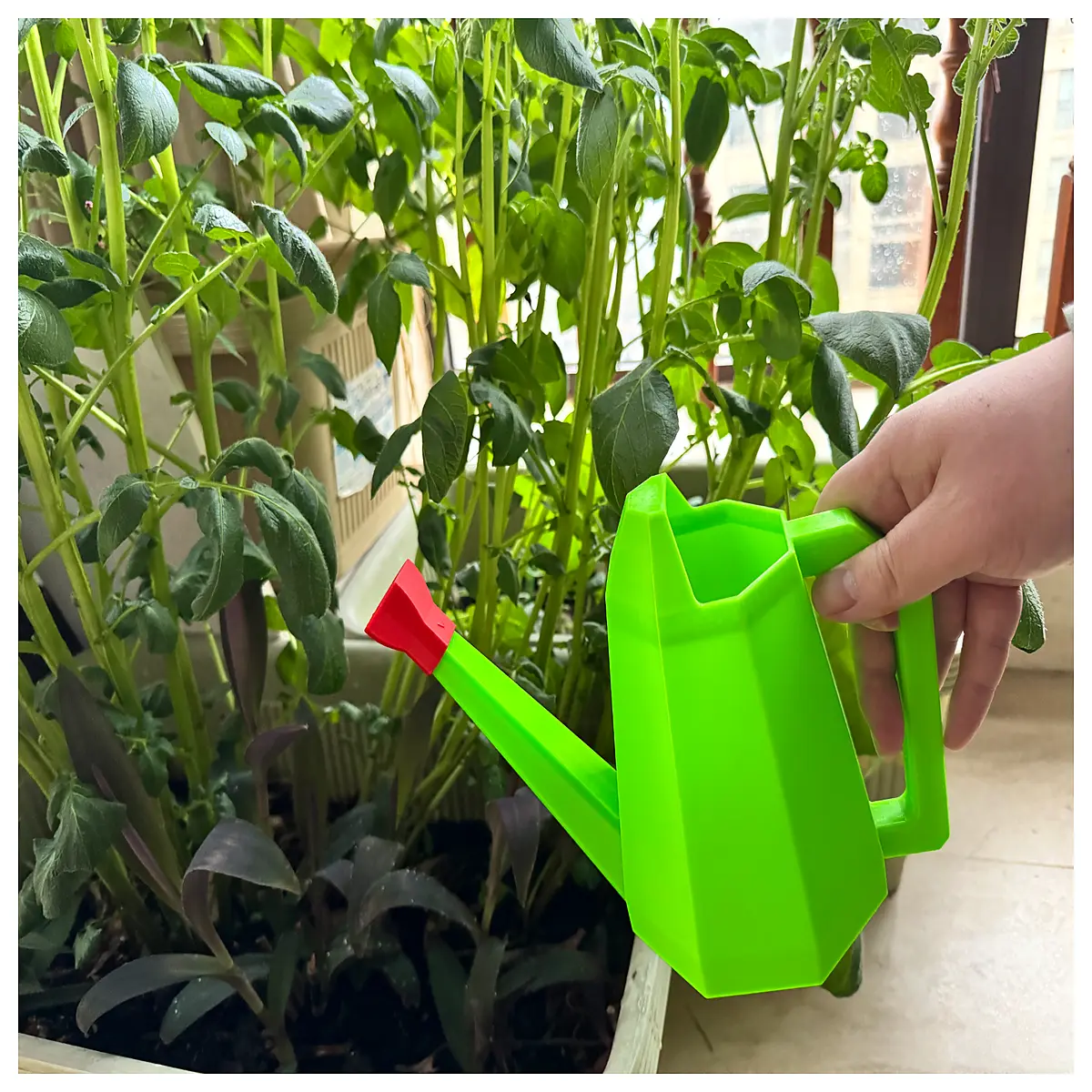 Watering Can Garden Pot Sprinkler Watering Plants Outdoor Garden Tool Watering Can